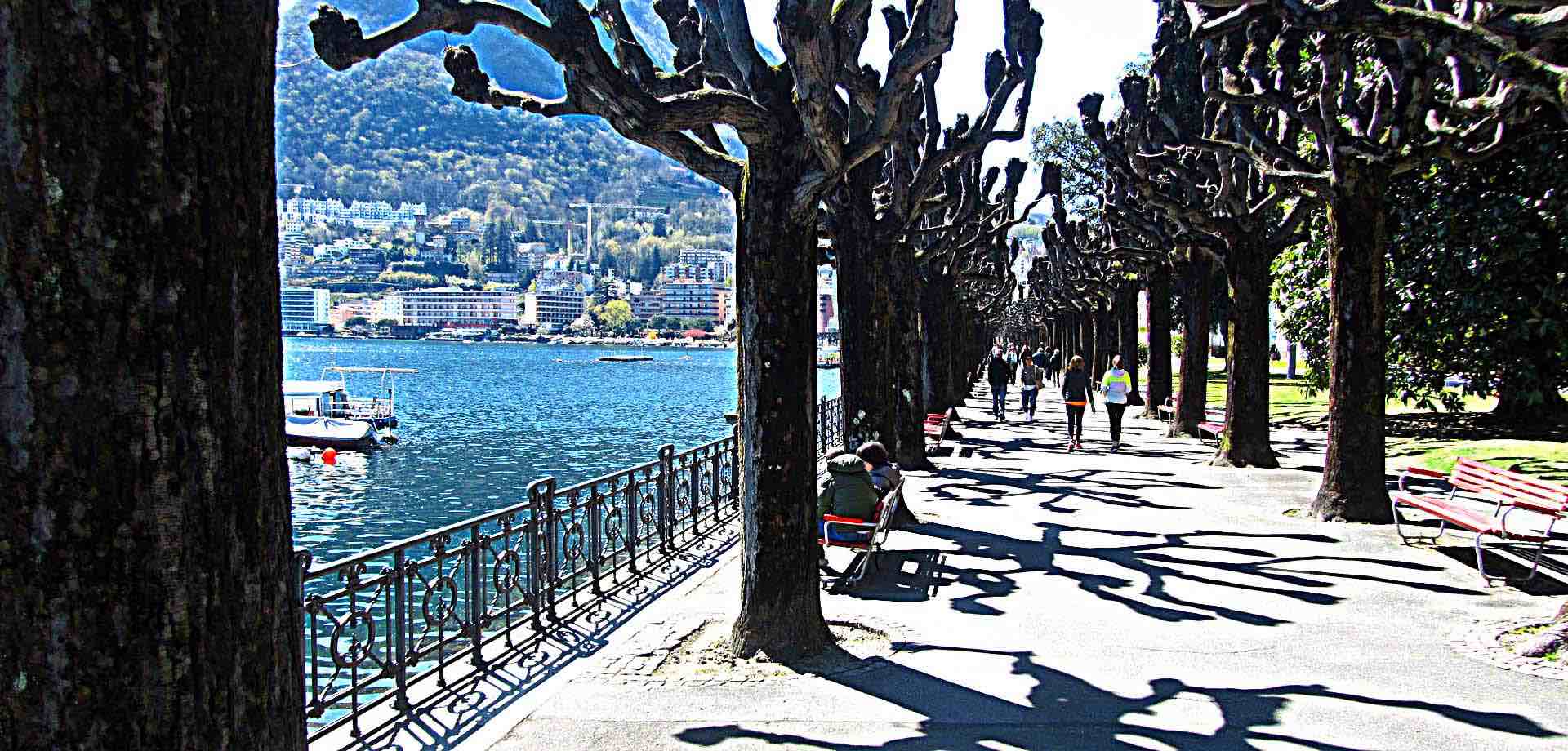 Il contesto ambientale e naturalistico del Ticino