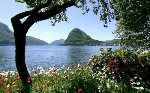 Scorcio lago Lugano dai nostri appartamenti del residence La Residenza