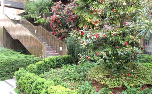 giardino degli appartamenti in affitto a lugano